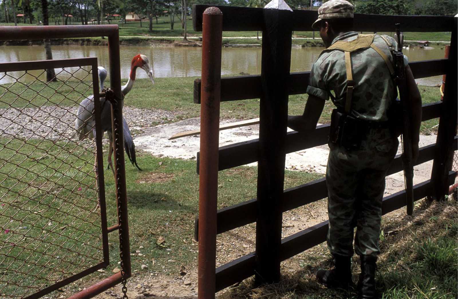 À l'intérieur de Pablo Escobar célèbre hacienda, 1980