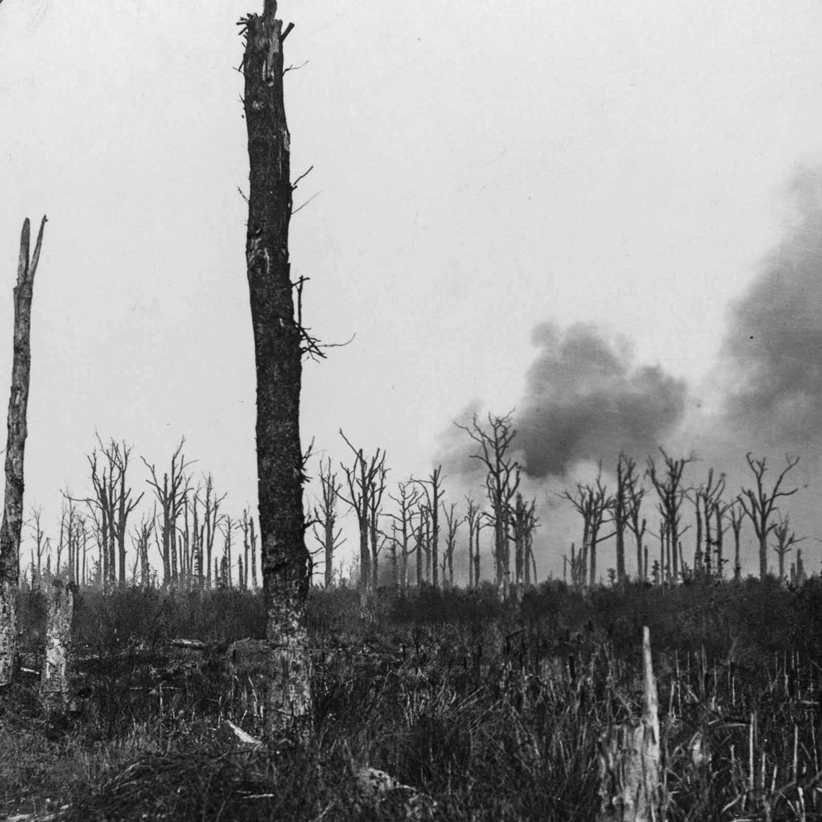 La Bataille de la Somme en photos, 1916