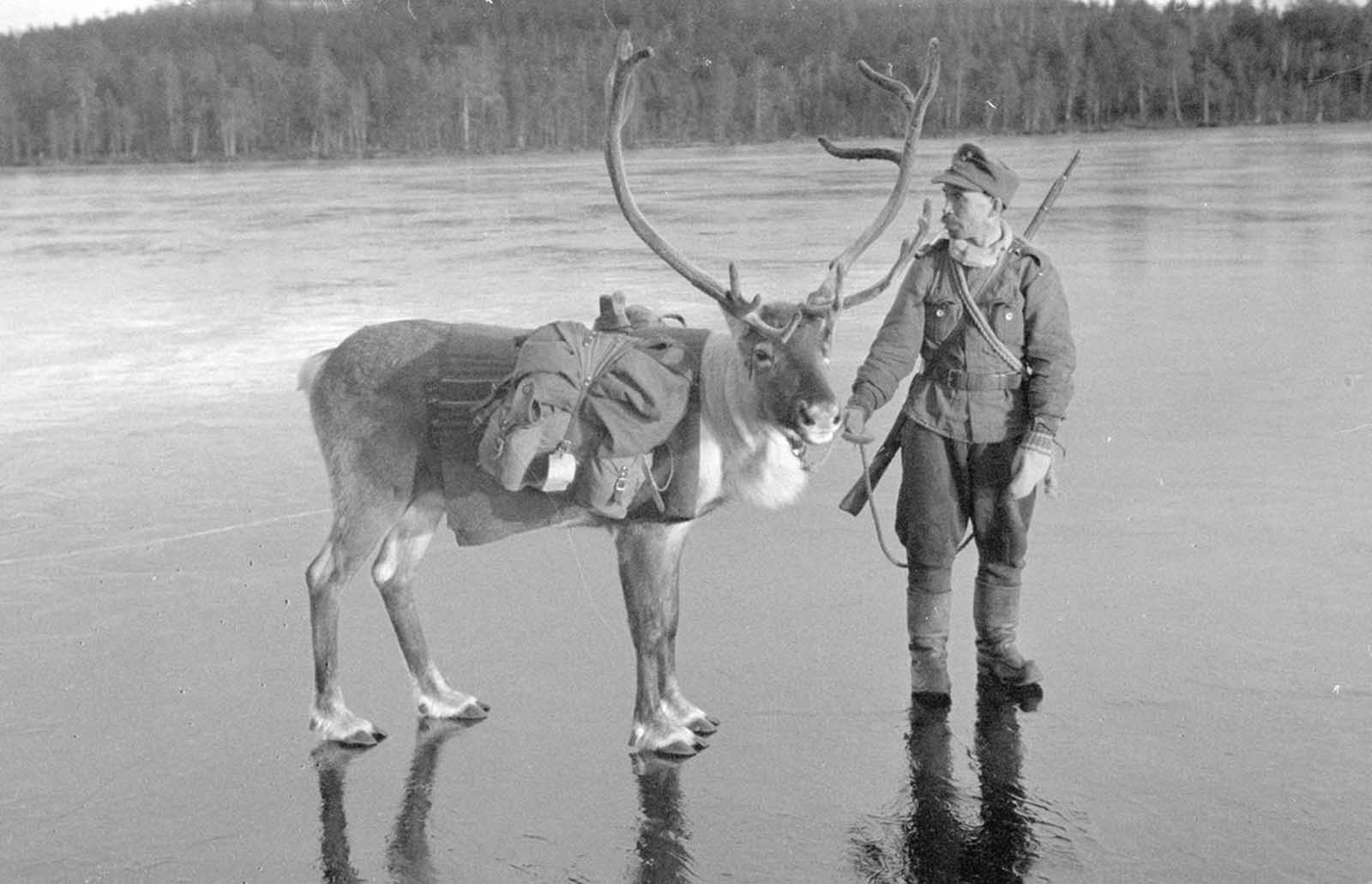 L'incroyable histoire de la Finlande dans la seconde Guerre Mondiale, 1939-1945
