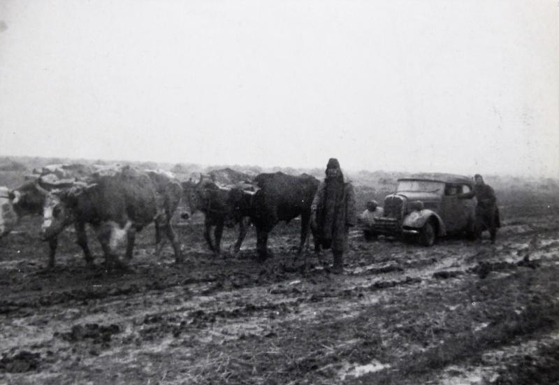 Voiture à bœufs de la 44ème division d'infanterie allemande sur la route lors du dégel