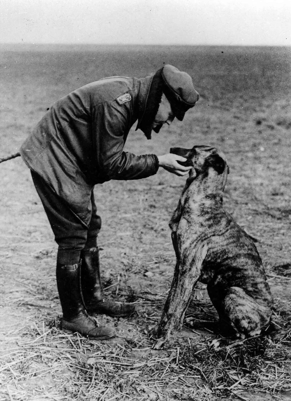 Manfred von Richthofen “Le Baron Rouge” caresser son chien sur un terrain d'aviation, 1916
