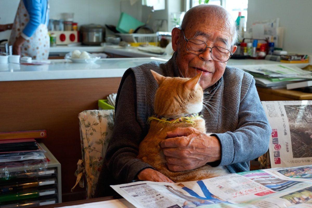 Jiji et Kinako: Un Chat fait la Joie De Mes Malades Et grand-père Grincheux