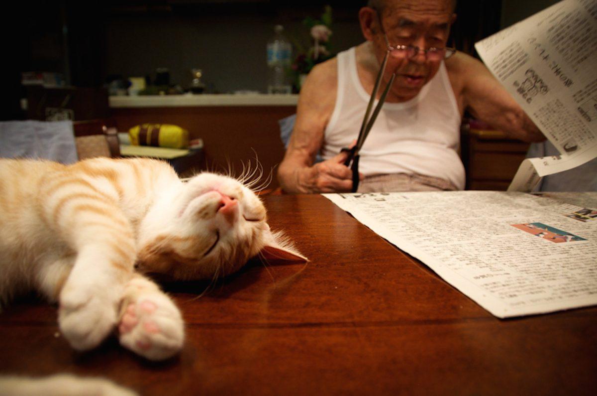 Jiji et Kinako: Un Chat fait la Joie De Mes Malades Et grand-père Grincheux