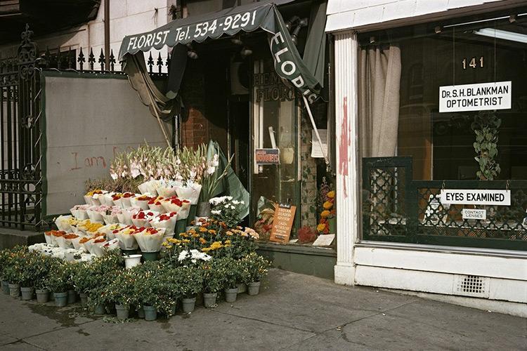 New York en Kodachrome (1966-1967)