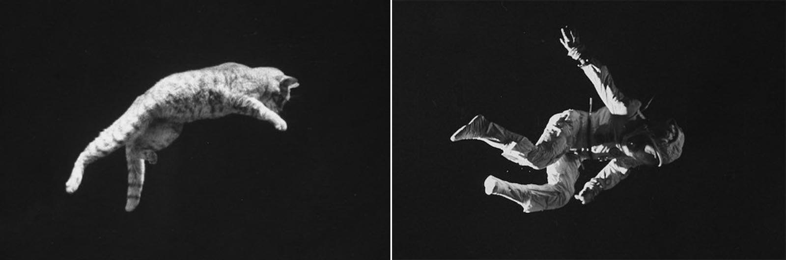 La “chute de chat” phénomène qui a aidé à la NASA préparer les astronautes de la gravité zéro, 1969