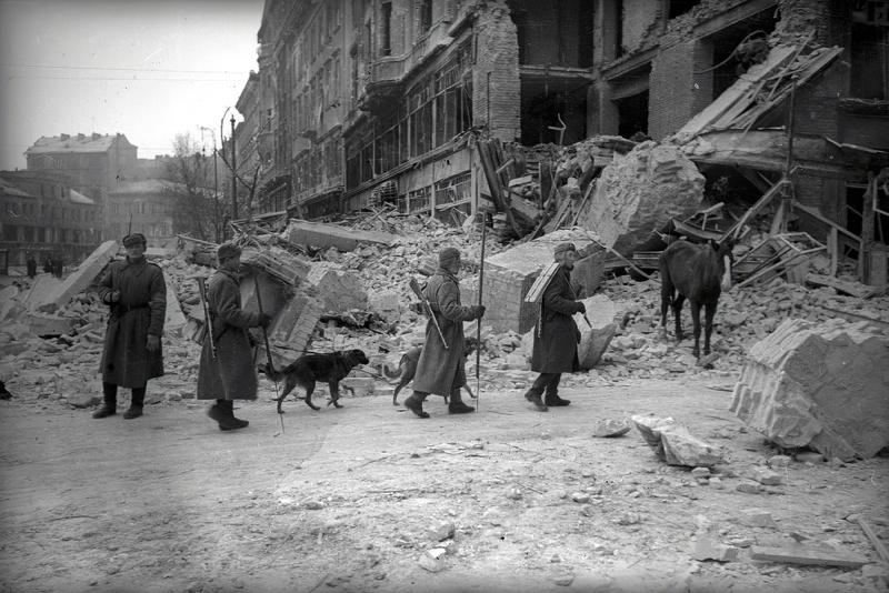 Sapeurs soviétiques avec les chiens dans la rue Кечкемети à Budapest