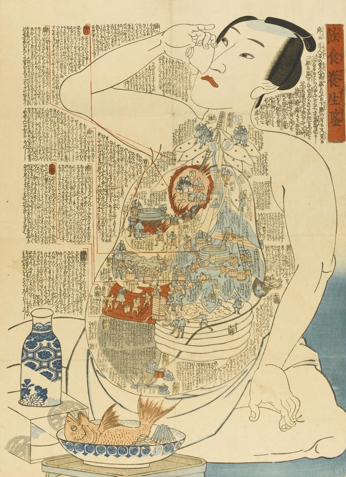 Illustré Interne des Fonctions Corporelles dans les gravures sur Bois Japonaises des années 1800
