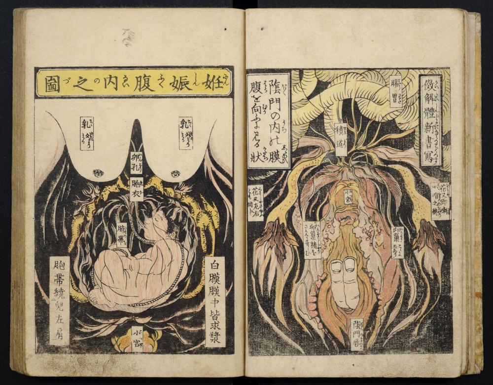 Des nouvelles De la Chambre à coucher: L'Oreiller de la Bibliothèque du 19ème Siècle, les Japonais l'Érotisme