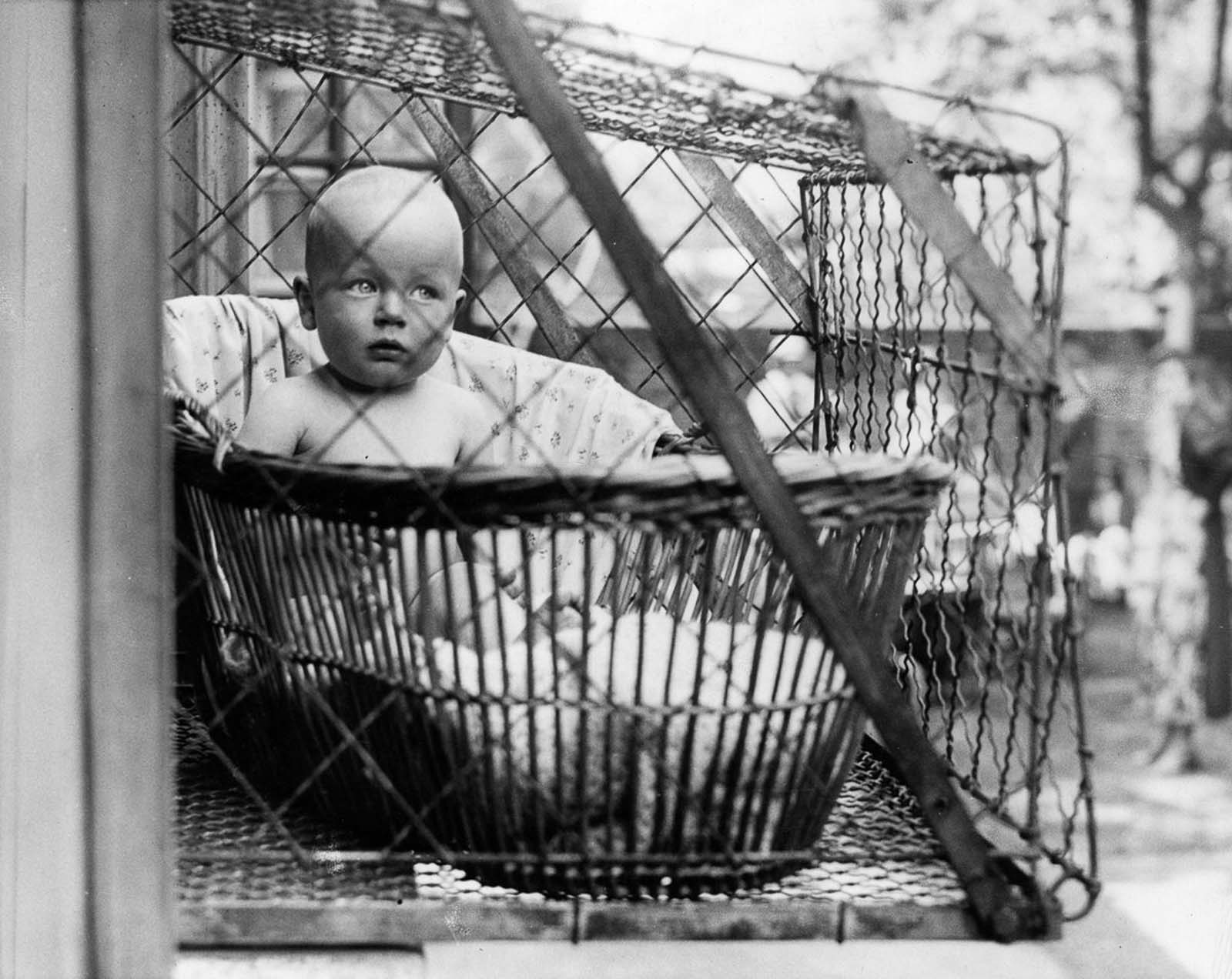 L Etrange Histoire Du Bebe De La Cage 1934 1948 Photos Historiques Rares Et L Histoire Derriere Eux