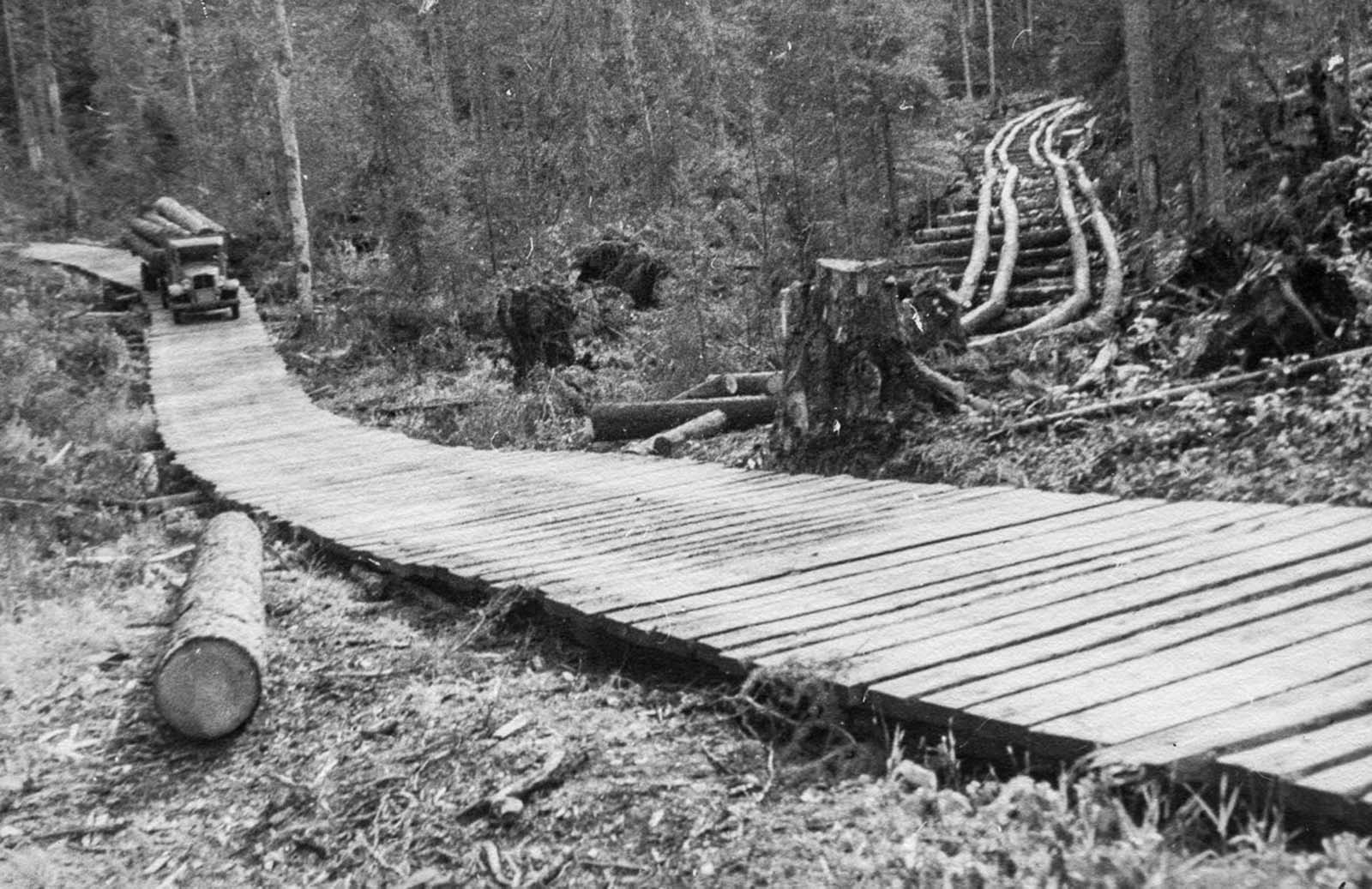 Les bûcherons qui a abattu les arbres géants de la colombie-Britannique, 1900-1930