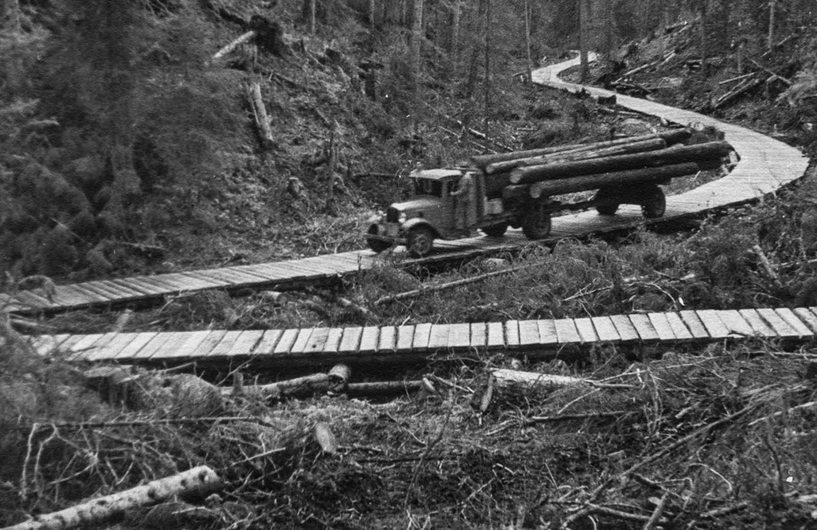 Les bûcherons qui a abattu les arbres géants de la colombie-Britannique, 1900-1930