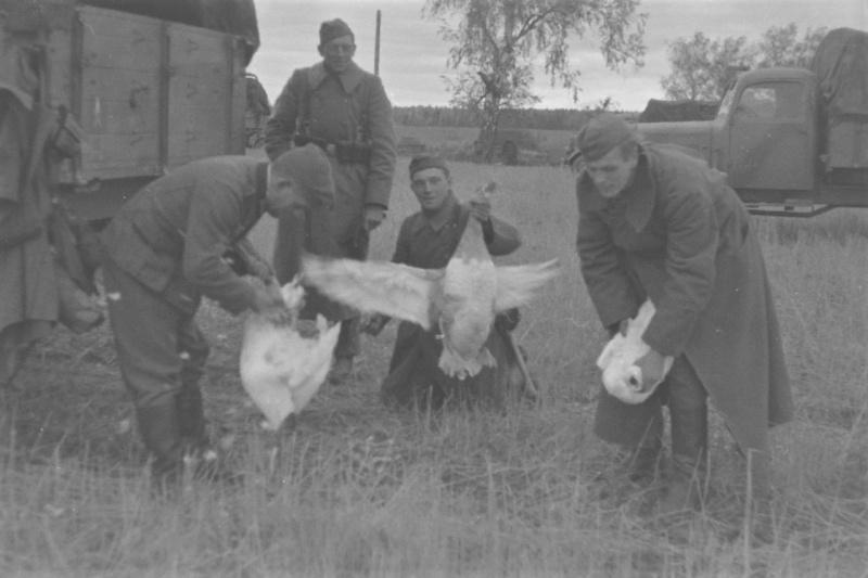 Les soldats allemands avec les oies, pris sous l'occupation soviétique village