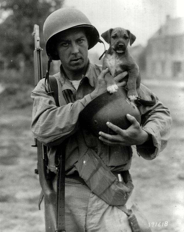 Le soldat Joseph Day, et un chiot Инвейжн. 1944 ⋆ Photos ...