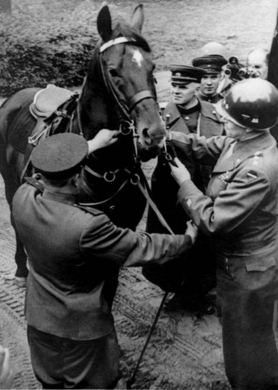 Le maréchal de l'Union soviétique I. Konev présente un cheval au général américain O. Bradley. Mai 1945