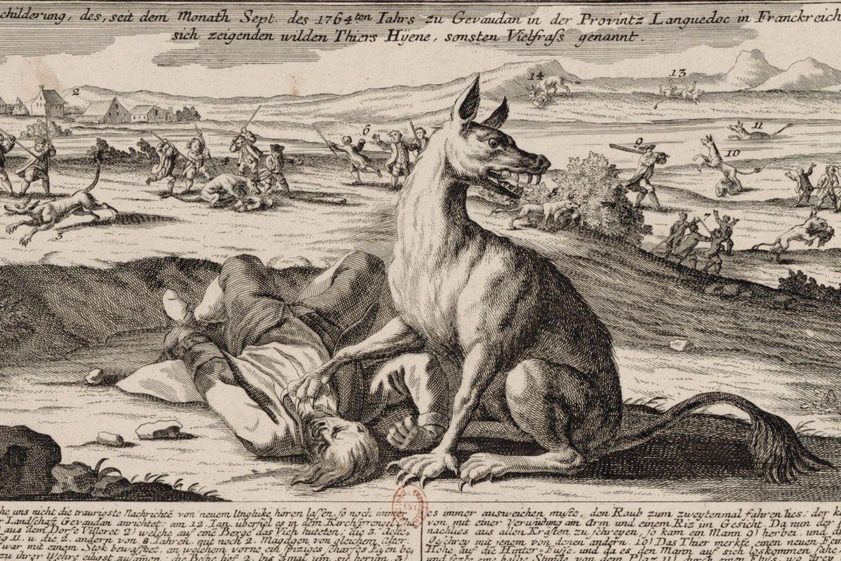 Revisiter l'épidémie française de loups-garous et la bête du Gévaudan