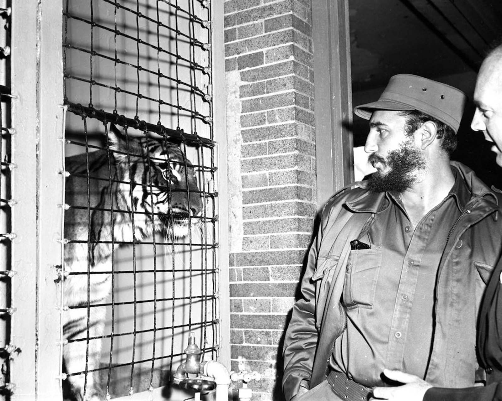 Fidel Castro et ses admirateurs américains, 1959