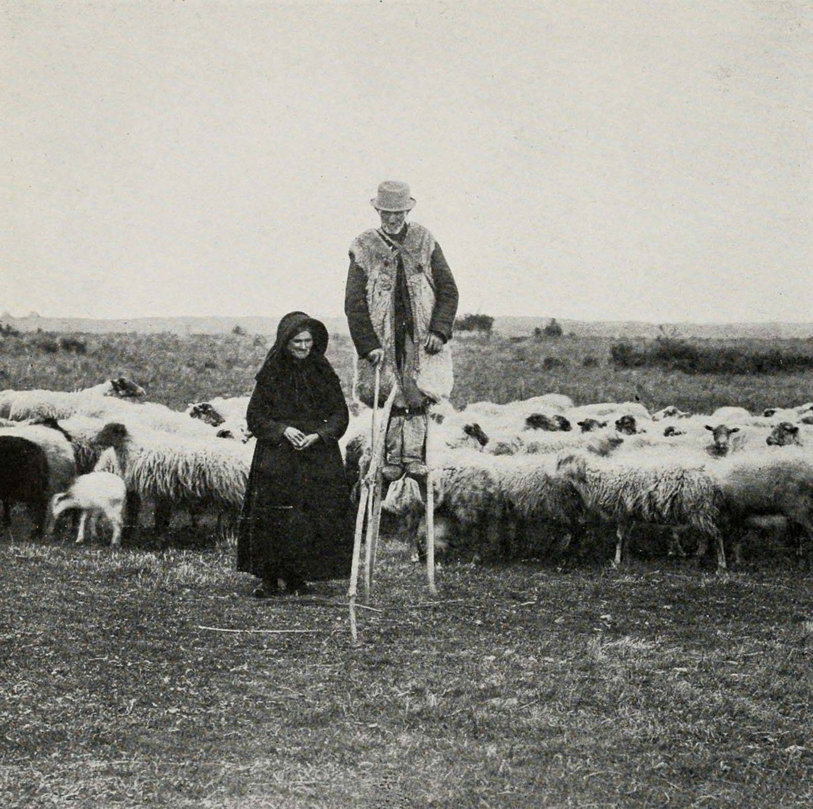 Les bergers sur pilotis des prairies françaises, 1843-1937