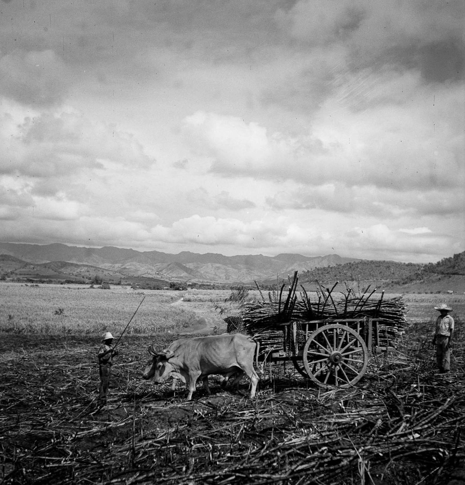 Porto Rico rural en photographies rares, 1938-1943