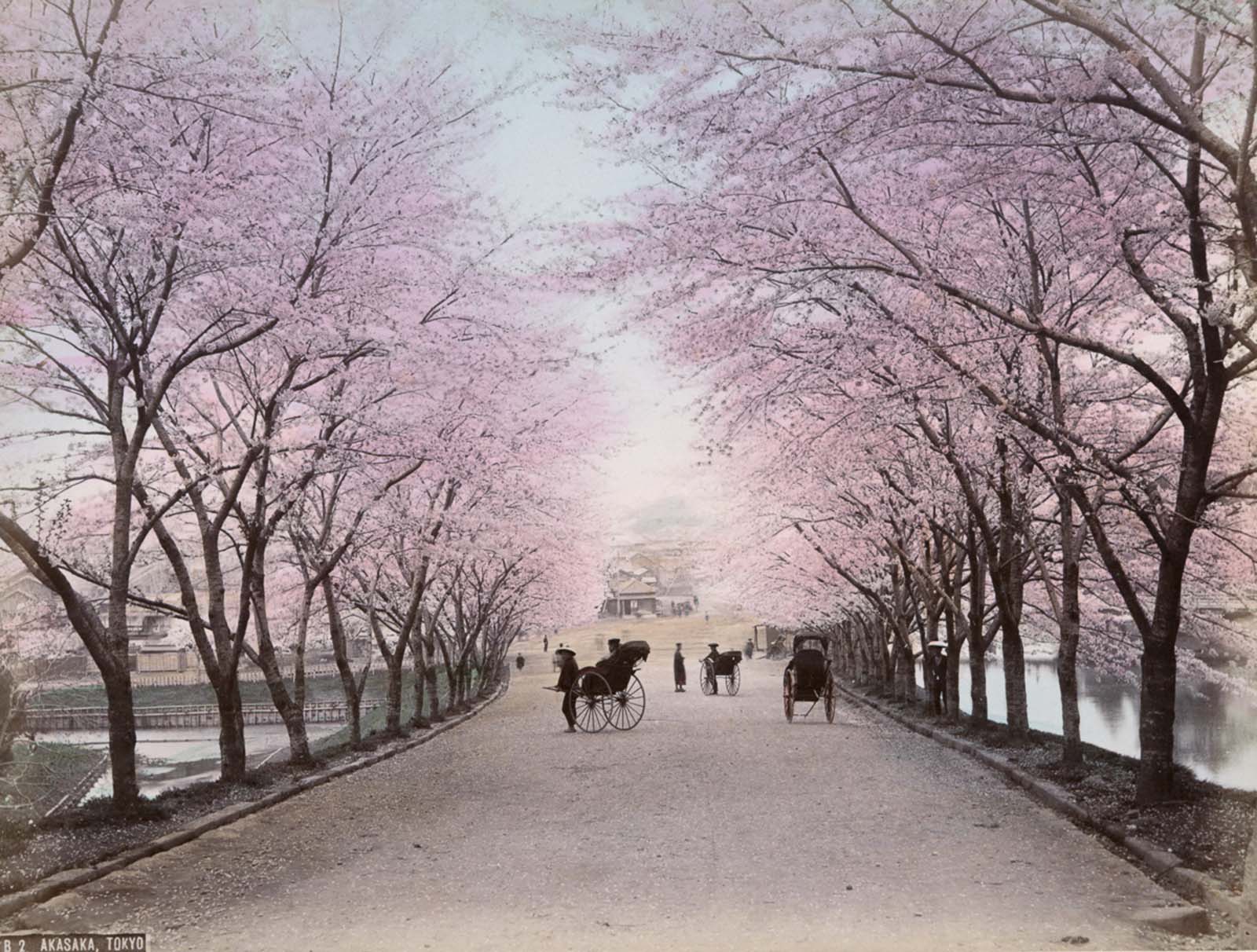 Rares photos colorées à la main de la vie quotidienne à Meiji au Japon, 1890