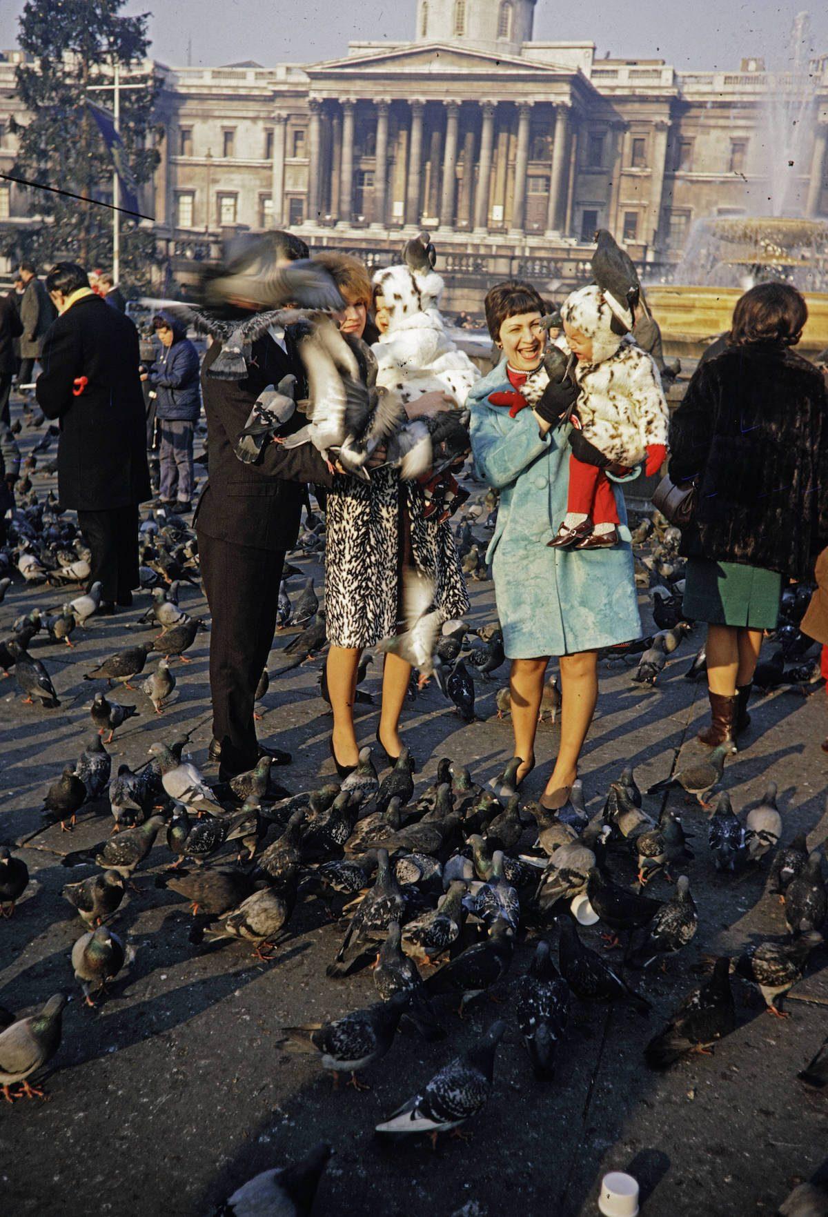 Nourrir les pigeons sur Trafalgar Square à Londres en 1967