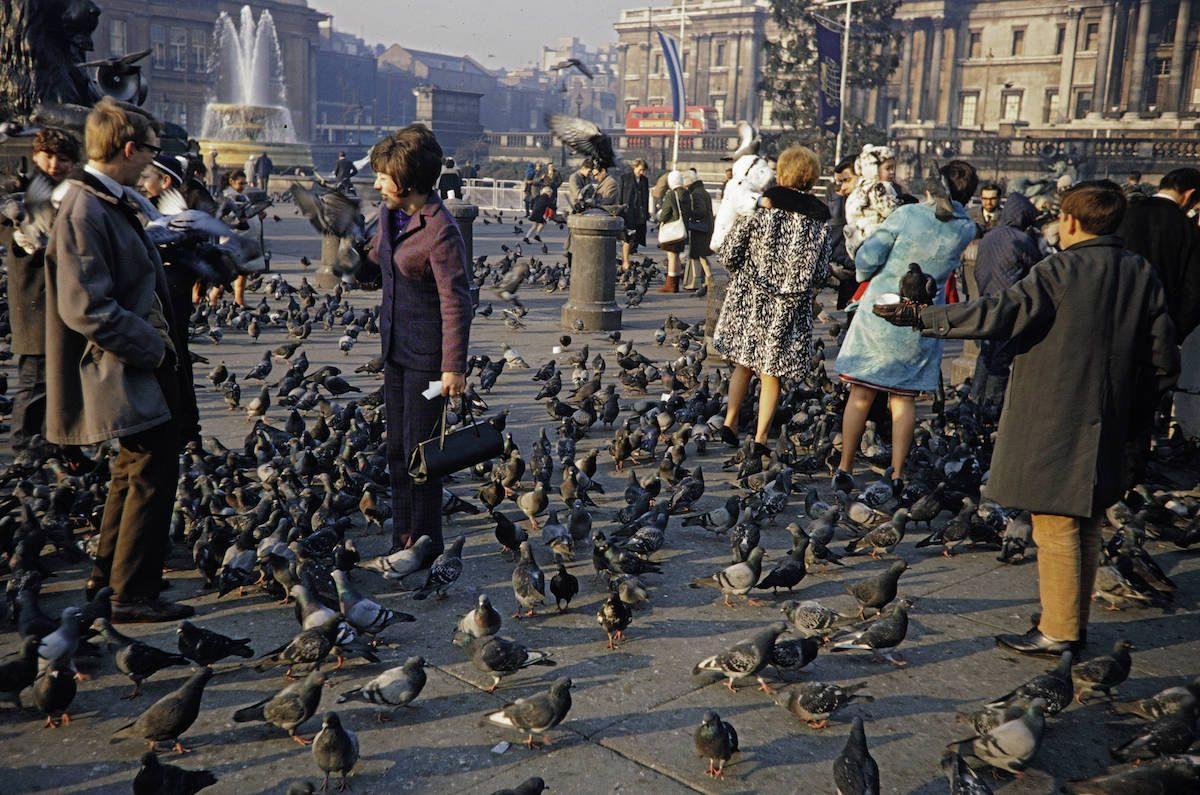 Nourrir les pigeons sur Trafalgar Square à Londres en 1967